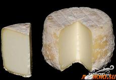 Кротэн де Шавиньоль - нажмите, чтобы увидеть в полном размере Кротэн де Шавиньоль