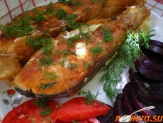 ���� ��-�����������