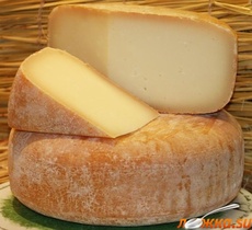 ���� ��������� �����������