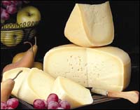 ���� ������� ������������