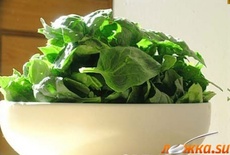 ����� �� ������� � ������� ����� � ������ �� ������� ������