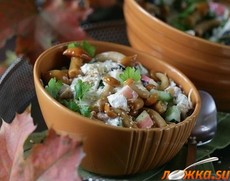 ����� �������� � �������