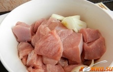 ������ �� �������