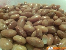 ����� � ����������, ��������� ��������� � �������