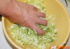 ����� "��� �������"