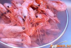 ����� "����������"