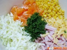 ����� "����������"