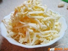 ������������� ��������