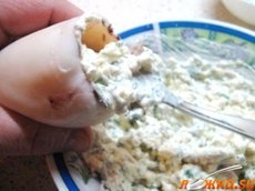 ������������� ��������