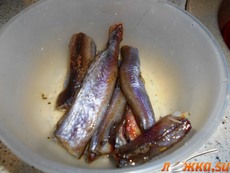 ����� �������