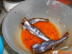 ����� �������